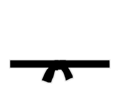 Judo-Fanpage Nürnberg